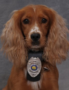 K-9 Officer Bubka