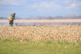 Milford Cornfield FIre