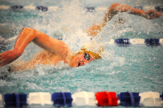 Tippecanoe Valley's Chase Brower qualified for the finals of the 50 and 100 freestyles.