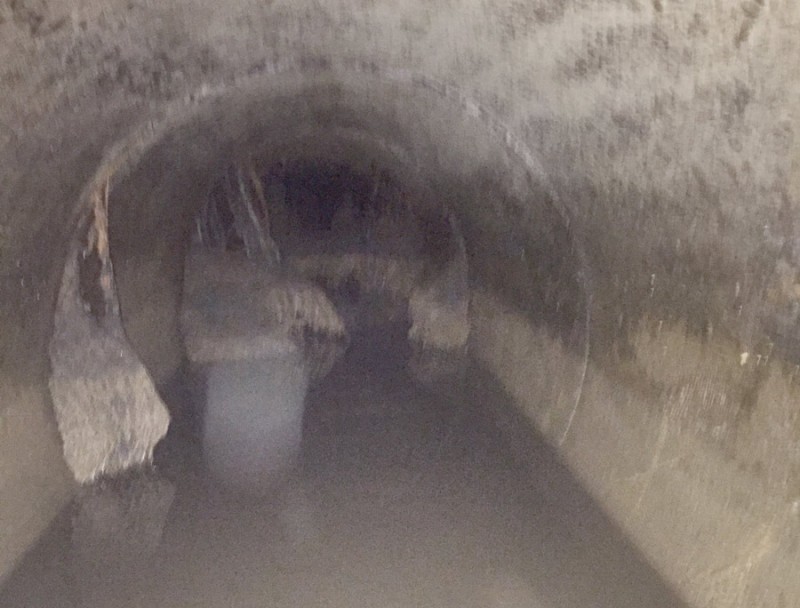 A camera sent through the storm sewer lines shows the tree roots.