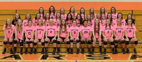 The Warsaw volleyball teams sport their pink apparel. The Tigers will host their Pink Out Night on Oct. 6 (Photo provided by Sarah Chookie)