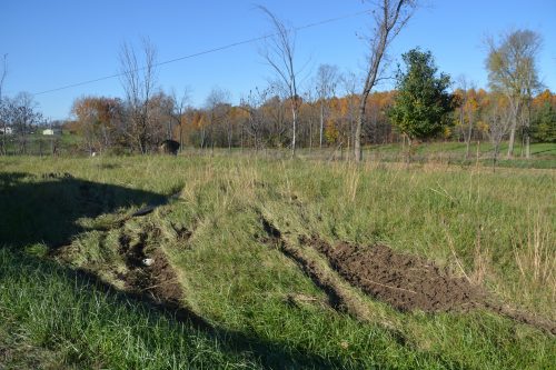 Tracks from where the vehicle exited the roadway. 