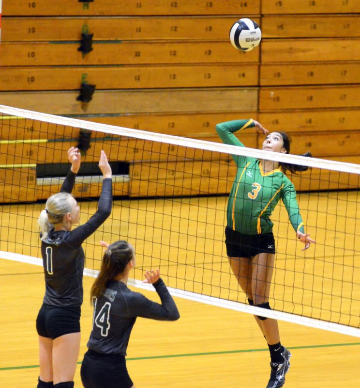 Valley Volleyball: Vikings Serve Up Win Over Wawasee – InkFreeNews.com