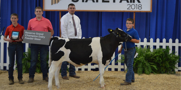 jace-beer-shows-reserve-grand-champion-dairy-feeder-steer-inkfreenews